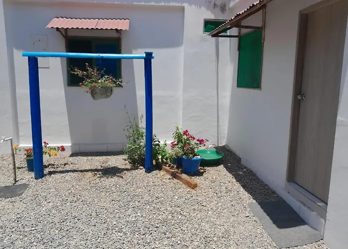 Hostal Paloma Cafe